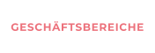 GESCHÄFTSBEREICHE